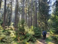 FJÄLLRÄVEN Kajka 75 - Trekkingrucksack -Sportausrüstung fjaellraeven kajka 75 trekkingrucksack 1c507515565e368a5f36dee585efcd24 1