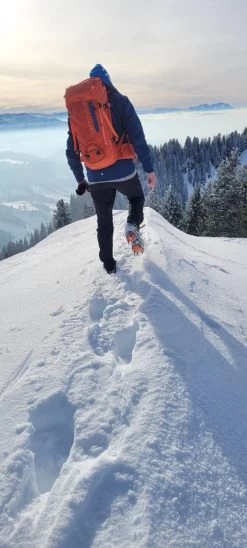 Ortovox Peak 35 - Tourenrucksack 9 Ortovox Peak 35 - Tourenrucksack -Sportausrüstung ortovox peak 35 tourenrucksack 479eeaaef0ad34f8d4b20e458b7c94a1 1