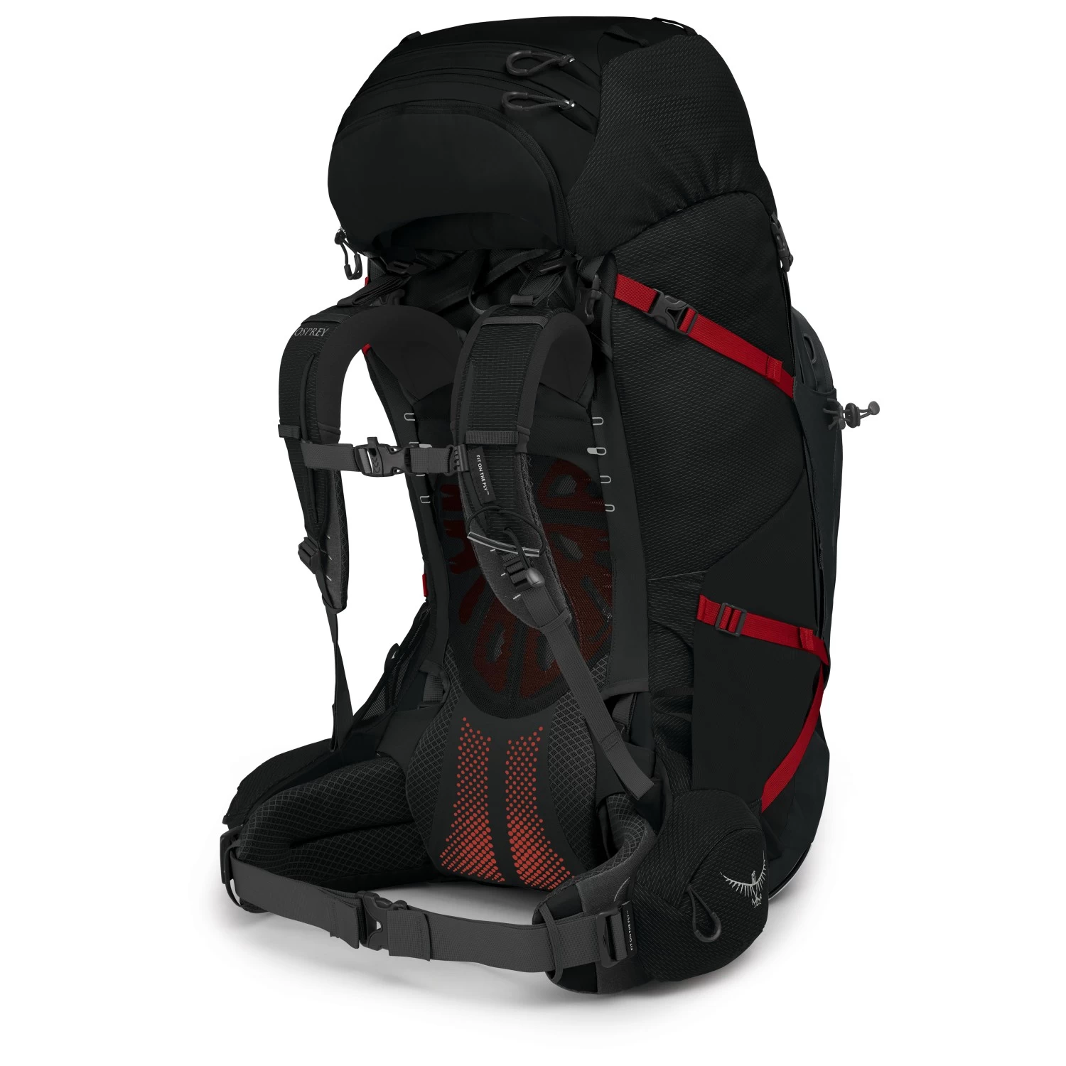 Osprey Aether Plus 85 - Trekkingrucksack 2 Osprey Aether Plus 85 - Trekkingrucksack – Bild 2