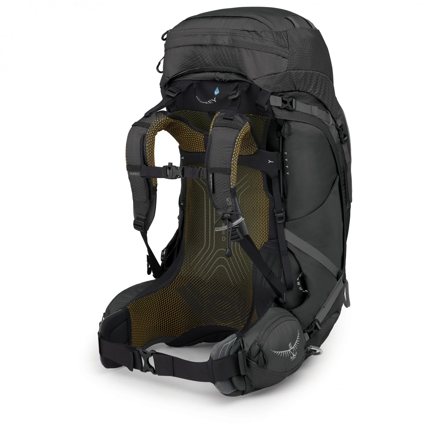 Osprey Atmos AG 65 - Trekkingrucksack 3 Osprey Atmos AG 65 - Trekkingrucksack – Bild 3