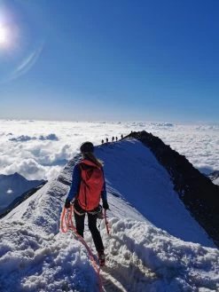 SALEWA Ortles Wall 32 - Tourenrucksack -Sportausrüstung salewa ortles wall 32 tourenrucksack f3492028f924b97ab35e266193813f32 1